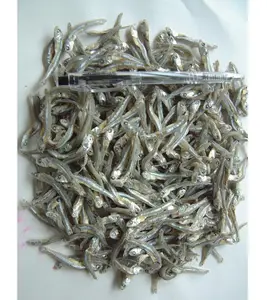 HOT DEAL Pescado seco de alta proteína Anchoa seca Pescado Comida marina de Vietnam con el PRECIO MÁS BARATO - Product Image 1
