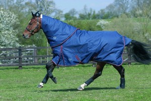 Couverture imperméable pour cheval, couverture d'extérieur 600D 1200D 1680D, protection hivernale pour l'écurie et l'extérieur - Product Image 4