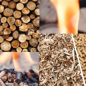 Granulés de bois/Briquettes de bois/Granulés de riz - Product Image 5