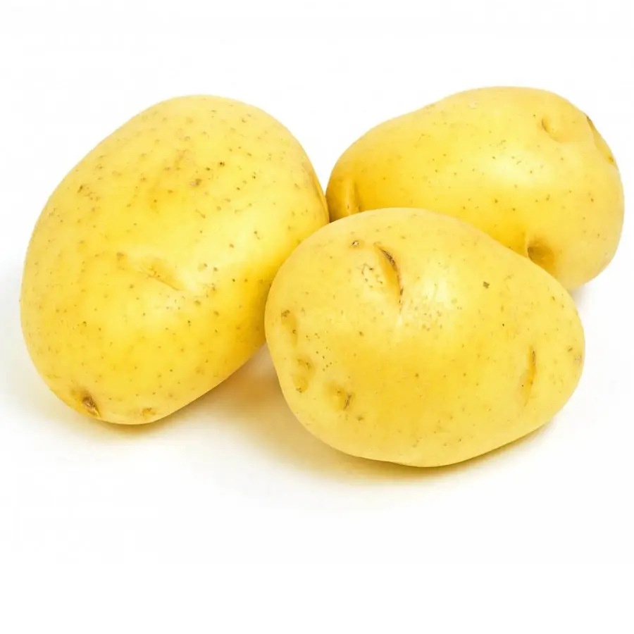 Bio-Frisch kartoffeln aus Bangladesch Hochwertige gelbe lange Farbe Farbe Gewicht Herkunft Typ Form Fleisch Größe Produkt SSAT