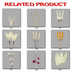 Handmade Indian Five Finger Palm Artificial Dry Leaf Natural Processed Dried Plants for Party Decoration Handcrafted Dry Flowers - Product Image 2