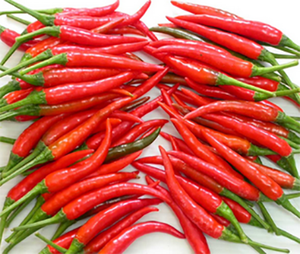 Chile fresco de alta calidad de Vietnam - Product Image 3