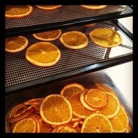Gratis Monster Gedroogde Sinaasappelplak Fruit Met Zeer Frisse En Zoete Smaak