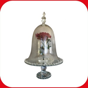 Venta al por mayor de vidrio tarro de campana de la India - Product Image 2