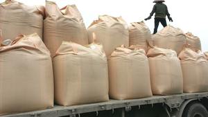 Prix du ciment Portland du Vietnam 425 de haute qualité - Product Image 3