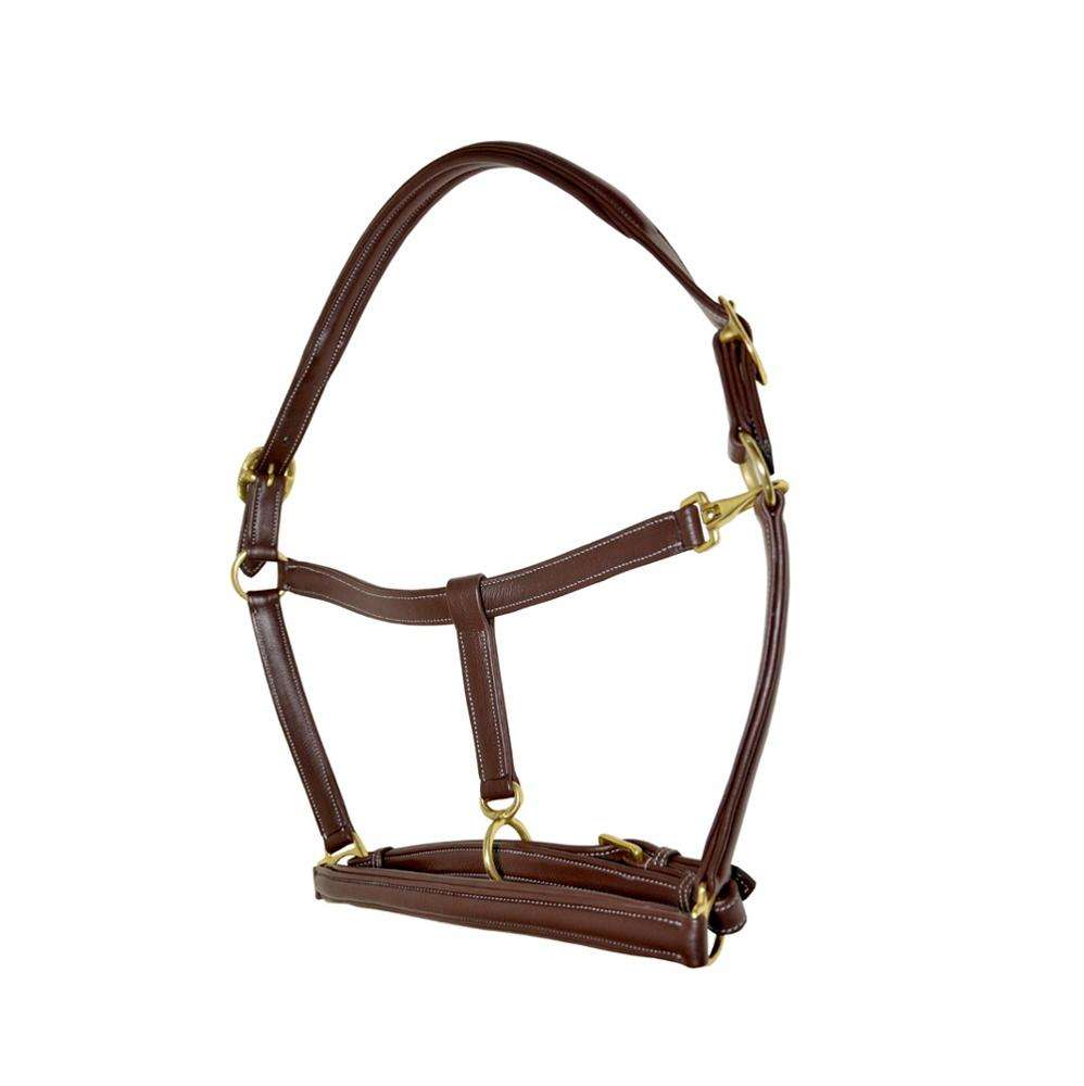 สีน้ำตาล