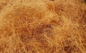 ECO- Friendly, High Quality <b>Coconut</b> <b>Husk</b> Fiber - Product Image 6