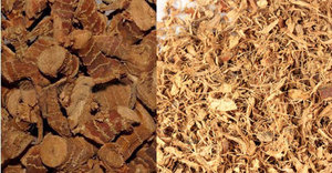 รากข่าแห้ง / รากข่าสดจากเวียดนามส่งออก - Product Image 3