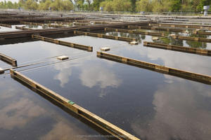 Enzymes pour le traitement des eaux usées - Product Image 5