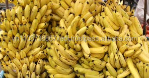 WHOLESALE FRESH <b>BANANA</b>/ NATURAL CLEAR <b>BANANA</b> - Product Image 3