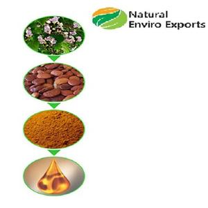 Aceite Honge orgánico a granel y aceite Karanja disponible en 1000L IBC con certificación NOP - Product Image 3