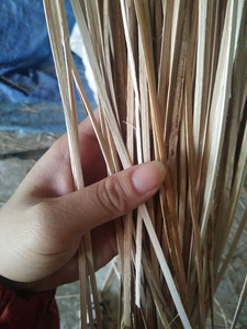 Rattan Peel Natural/Rattan Polish/ Cane Raw - Product Image 4