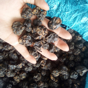 FRUIT DE NONI SÉCHÉ - Product Image 3