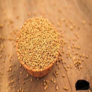Semilla de fenogreco indio, el mejor proveedor del mundo, calidad para Dubai, Malasia, Corea del Sur, Canadá, embalaje de 5kg, 10kg, 15kg - Product Image 2