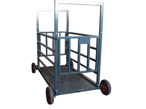 Báscula para Ganado BBH - Product Image 5