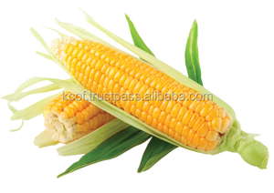 Boulettes de maïs frites surgelées (Contient du maïs pur de Malaisie) - Product Image 2