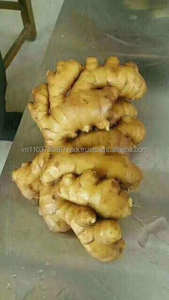 Gingembre frais biologique en gros - Product Image 3