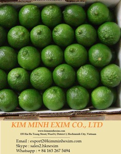 มะนาวไร้เมล็ดสดจากเวียดนาม - Product Image 4