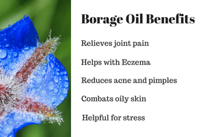 น้ำมันบอราจออร์แกนิกบริสุทธิ์จากธรรมชาติ100% น้ำมันสกัดเย็น - Product Image 2