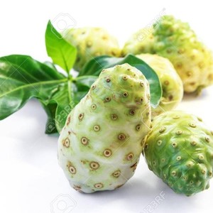 ผลไม้โนนิแห้งที่เก็บรักษาไว้ตามธรรมชาติจากเวียดนามสไตล์หั่นบางๆ - Product Image 3