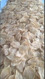 2020เลี้ยงปลาดุก - Product Image 3