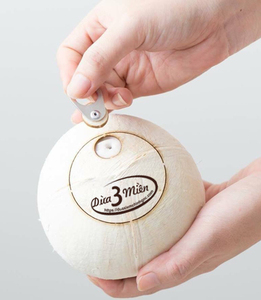 COCO FRESCO JUNTO A SU CASCAJO, FÁCIL DE ABRIR - Product Image 2