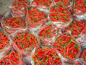 Congelación de pimienta roja, contacto de VIETNAM - Product Image 4