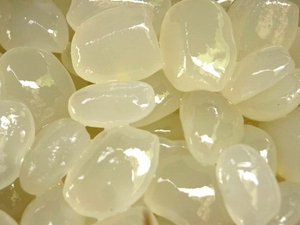 Gelatina DE PALMA/Pulpa de Palma Toddy/fruta de Palma de azúcar en almíbar 100% natural hecha en Vietnam - Product Image 4