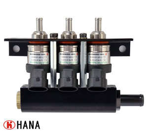 Cung cấp kim phun nhiên liệu kim loại đường ray chất lượng cao HANA độ bền cao H2001 3 xy-lanh & 4 xy-lanh dùng gas, đạt tiêu chuẩn ISO 15500 - Product Image 3