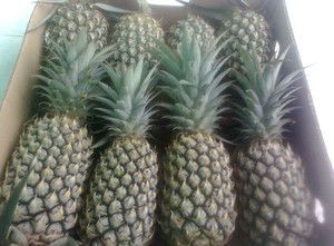 ANANAS DORÉ FRAIS - Product Image 4
