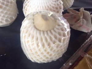 มะพร้าวเพชรตัด Ms วันหยุด - Product Image 6