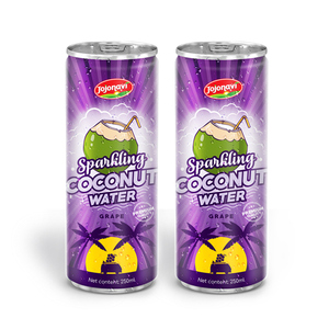 Puré de Agua de Coco Espumosa, Certificado Halal, 100% Puro, Lata de Aluminio de 250 ml, Marca JOJONAVI, Servicio ODM, Precio al por Mayor - Product Image 4
