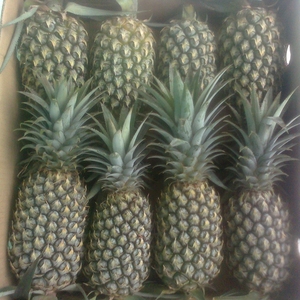 ANANAS DORÉ FRAIS - Product Image 6
