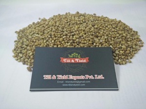 สารสกัดจากเมล็ดผักชีอินทรีผงสมุนไพร coriandrum sativum L ช่วยเพิ่มสุขภาพความแข็งแรงและบำรุงผิว - Product Image 4