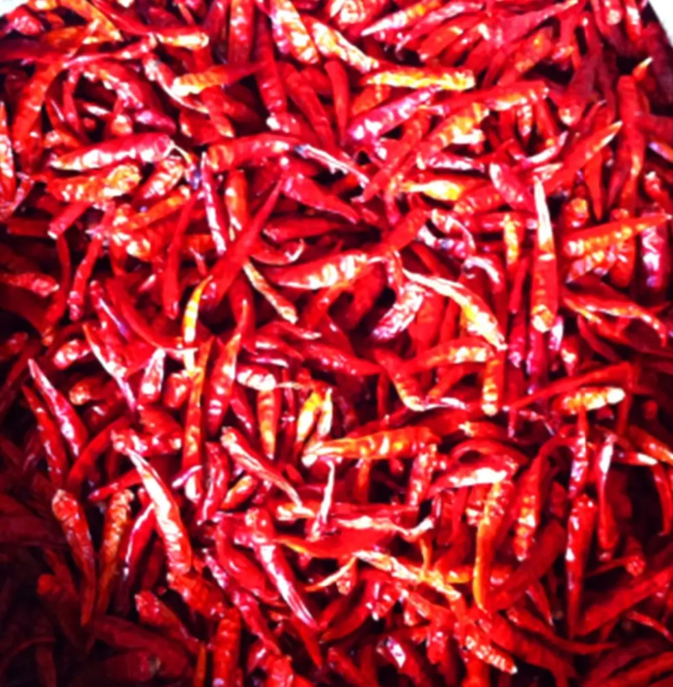 Poudre de piment séché et rouge, 20g