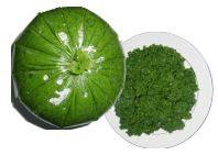 Vente en gros de manioc congelé du Vietnam, manioc iqf, feuille de manioc, prix bon marché du Vietnam Ms Holiday - Product Image 5