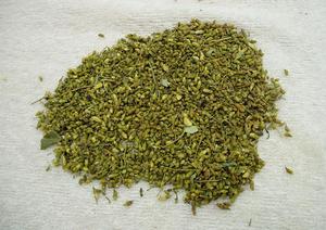 Sophora-Flor japonesa seca para vacaciones - Product Image 3