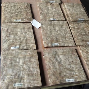 Placage en bois de camphrier doré pour la décoration d'hôtel - Product Image 3