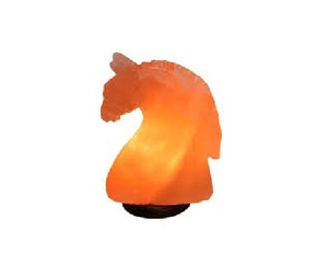 Lámpara de sal de alta calidad Fancy Horse Memoriable Lámparas de sal Técnica tallada por Sian Enterprises - Product Image 4