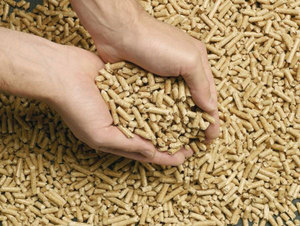 Pellets de Combustible de Madera Mixta de Abedul de Alta Calidad en Forma de Barra - Product Image 6