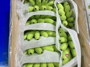 Banane verte d'afrique du Vietnam, fraîche - Product Image 3