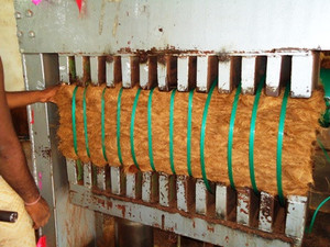 ใยมะพร้าวเป็นมิตรกับสิ่งแวดล้อม (6ซม.-20ซม.) 100% ธรรมชาติแท้ สำหรับการเกษตร ส่งออกและขาย - Product Image 4