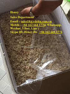 Camarones secos, comida seca, pescado seco - Product Image 6