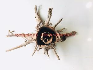 ดริฟต์วูดไทยแลนด์ - Product Image 3