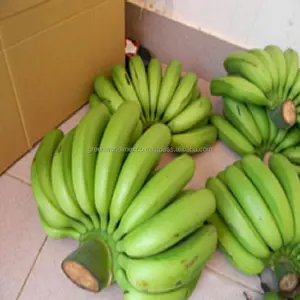 优质卡文迪什香蕉-美丽的绿色-特价2016