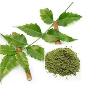 สารสกัดจากใบสะเดา 100% ธรรมชาติและบริสุทธิ์ - Product Image 2