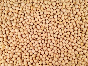 Fornitore di <span class=keywords><strong>soia</strong></span> secca sfusa di <span class=keywords><strong>soia</strong></span> <span class=keywords><strong>nera</strong></span> Non ogm - Product Image 3