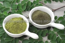 Proveedor de polvo de moringa 100% puro de India - Product Image 2