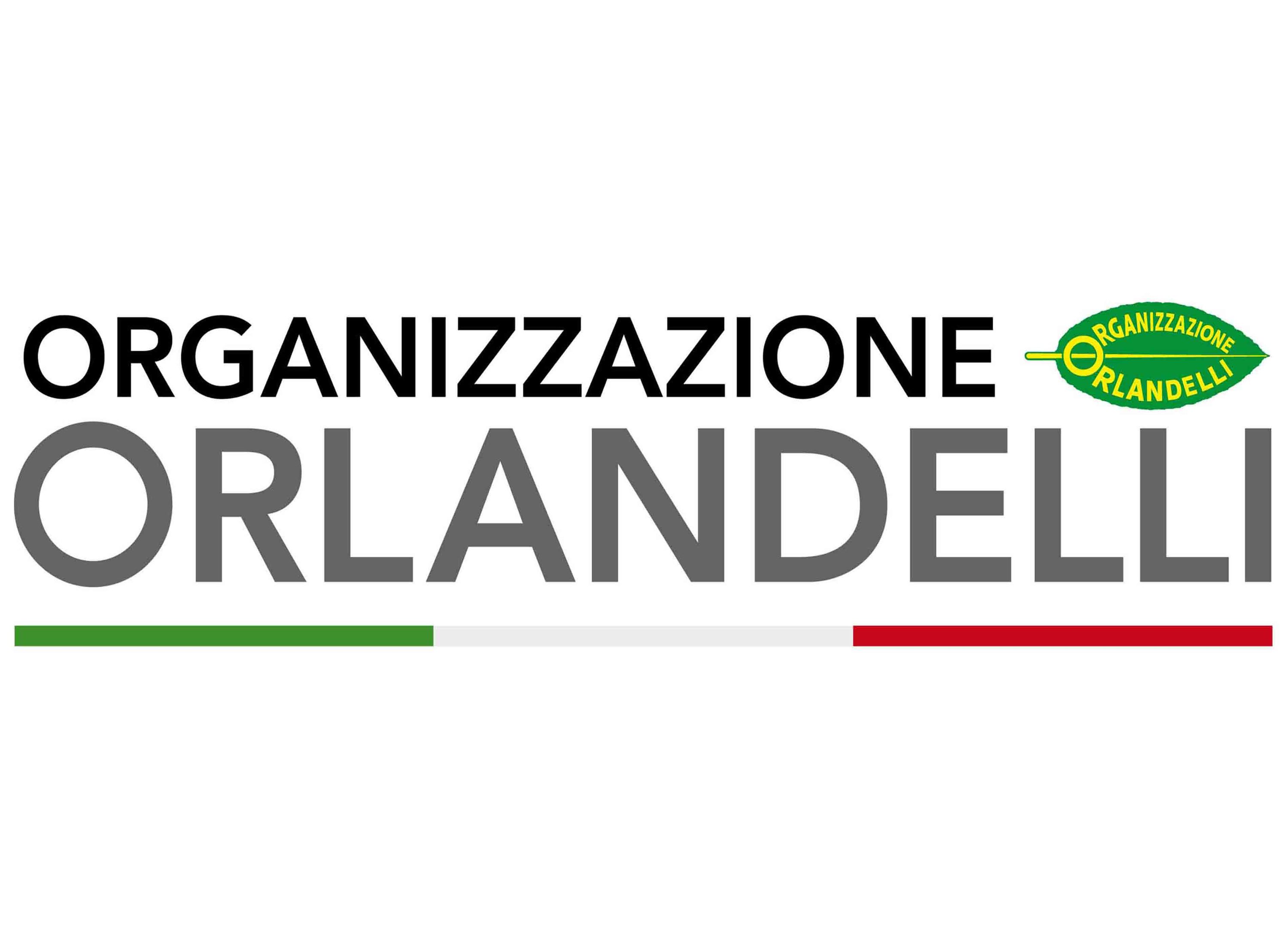 ORGANIZZAZIONE ORLANDELLI S.R.L. logo