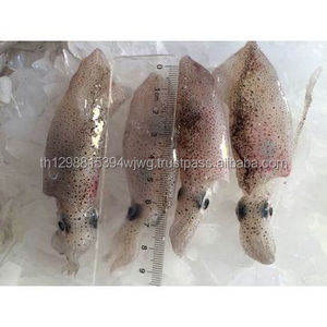 GOOD WHOLE CLEANED GIANT SQUID TENTACLES - Product Image 1